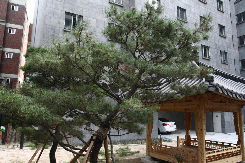 Fortune Hostel Jongno โซล ภายนอก รูปภาพ